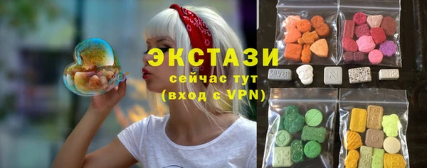 спиды Богородицк