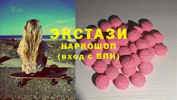 спиды Богородицк