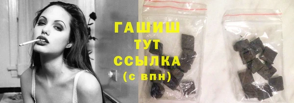 спиды Богородицк