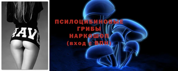 МДМА Богданович