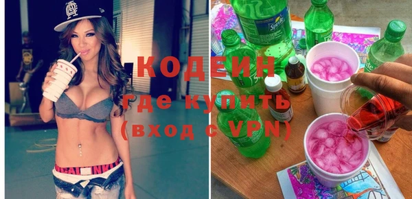 спиды Богородицк