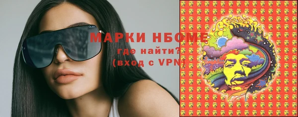 спиды Богородицк
