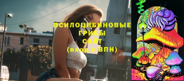 спиды Богородицк
