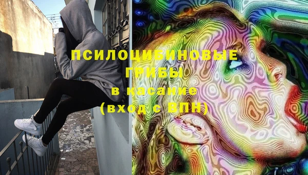 прущая мука Богородск