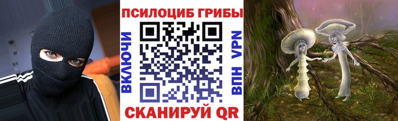 Галлюциногенные грибы ЛСД  где найти   Тамбов 